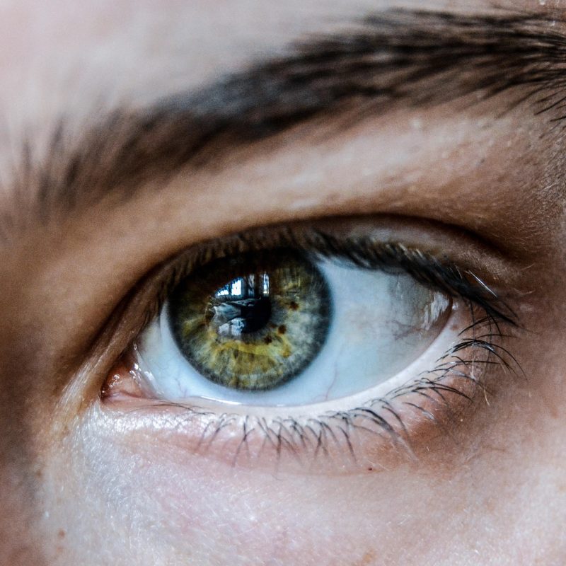 eye-6186141_1920